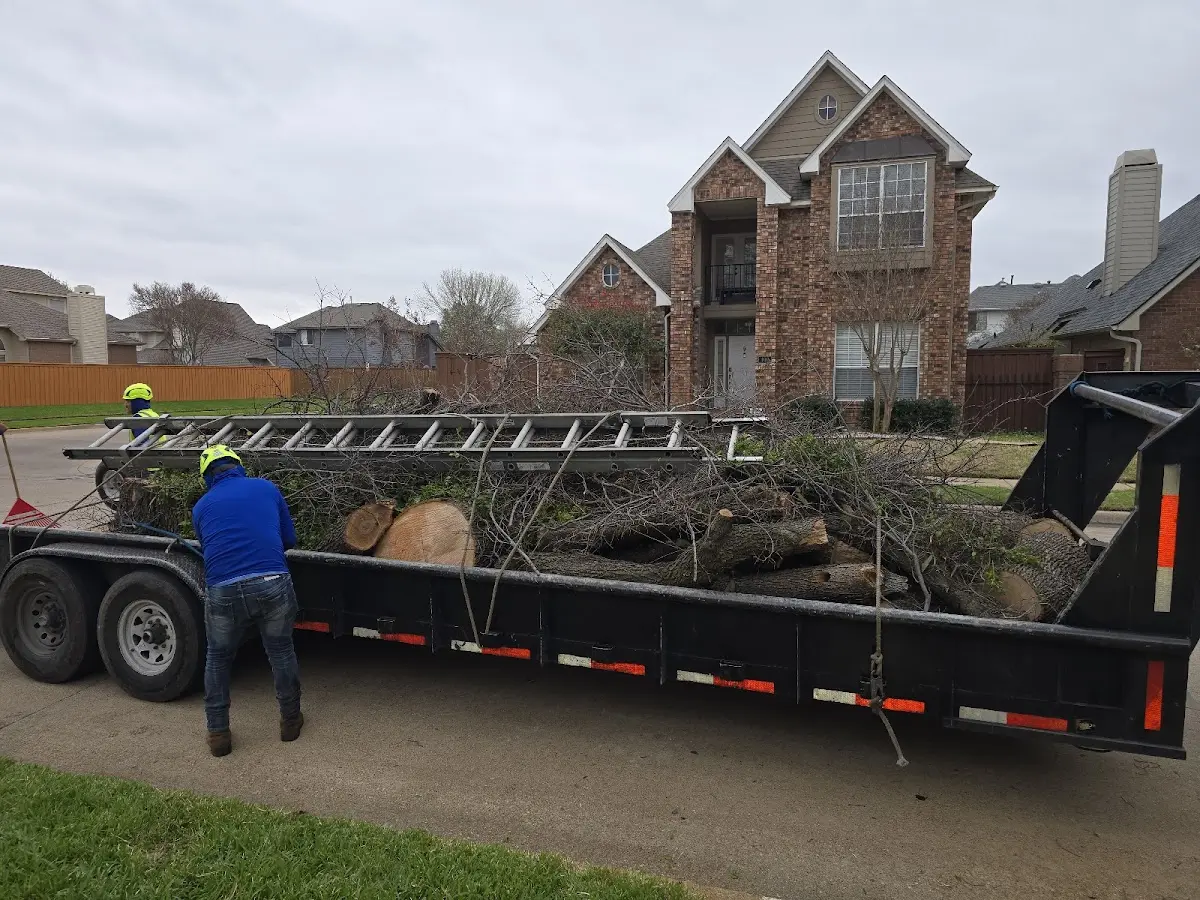 Expert Tree Fertilization with proper safety equipment in Kenyon